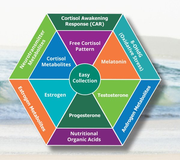 DUTCH Test for Hormonal Imbalance