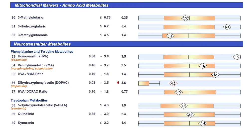 OAT test for gut health