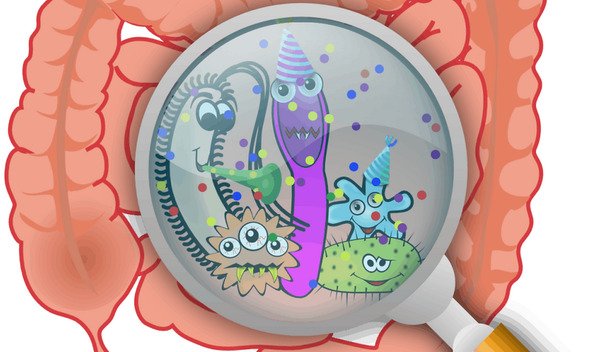Small Intestinal Bacterial Overgrowth (SIBO)