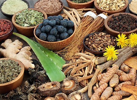 Adaptogens
