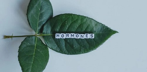 DUTCH Test for Hormonal Imbalance