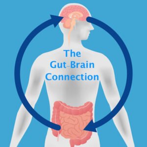 gut-brain connection