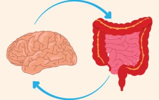 gut-brain connection