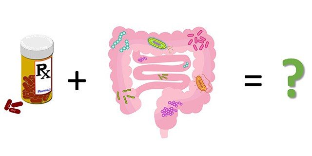 Gut Health and Antibiotics