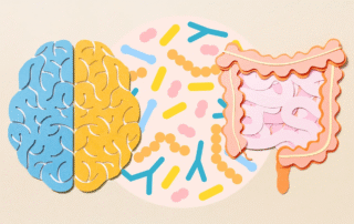 Gut Health & Weight Loss