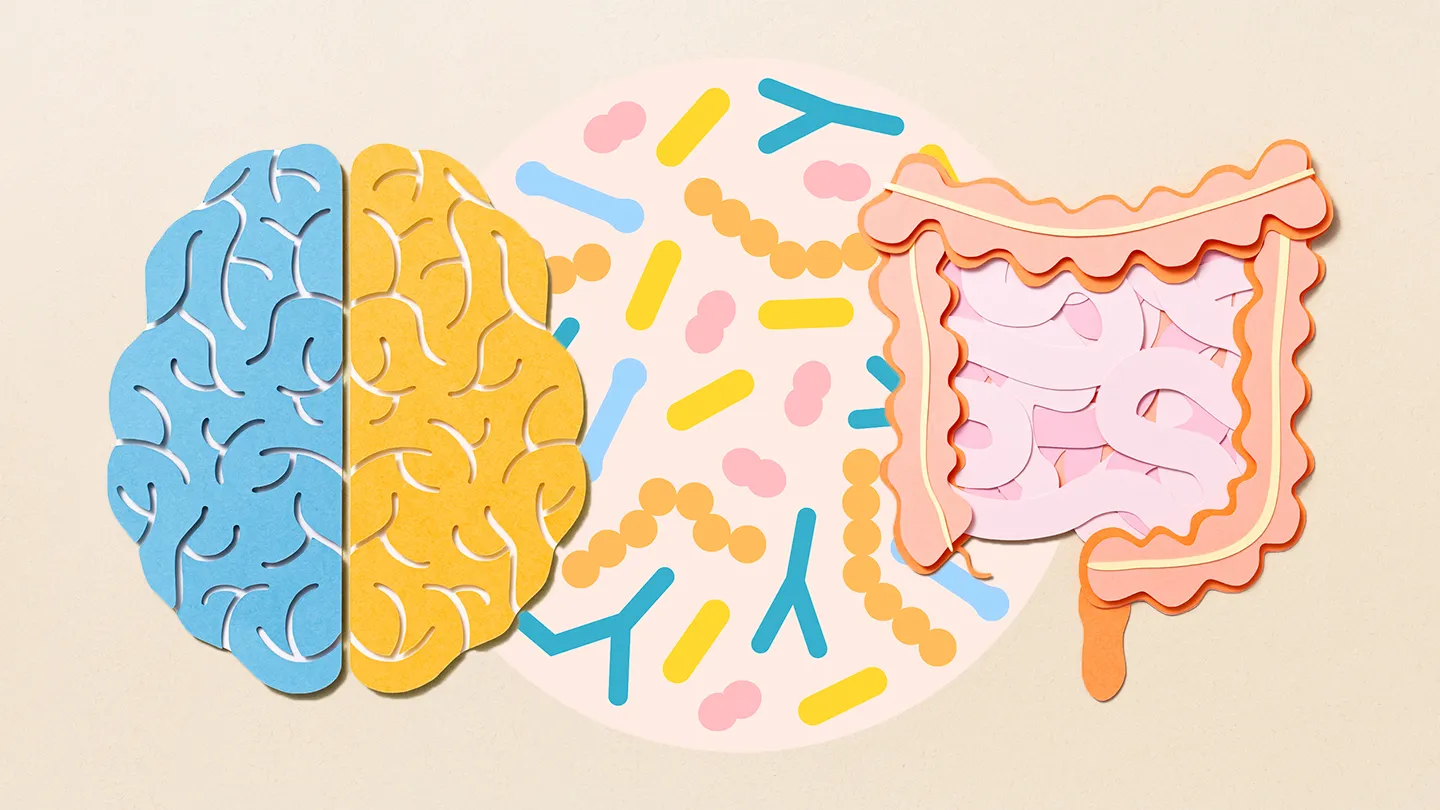 Gut Health & Weight Loss